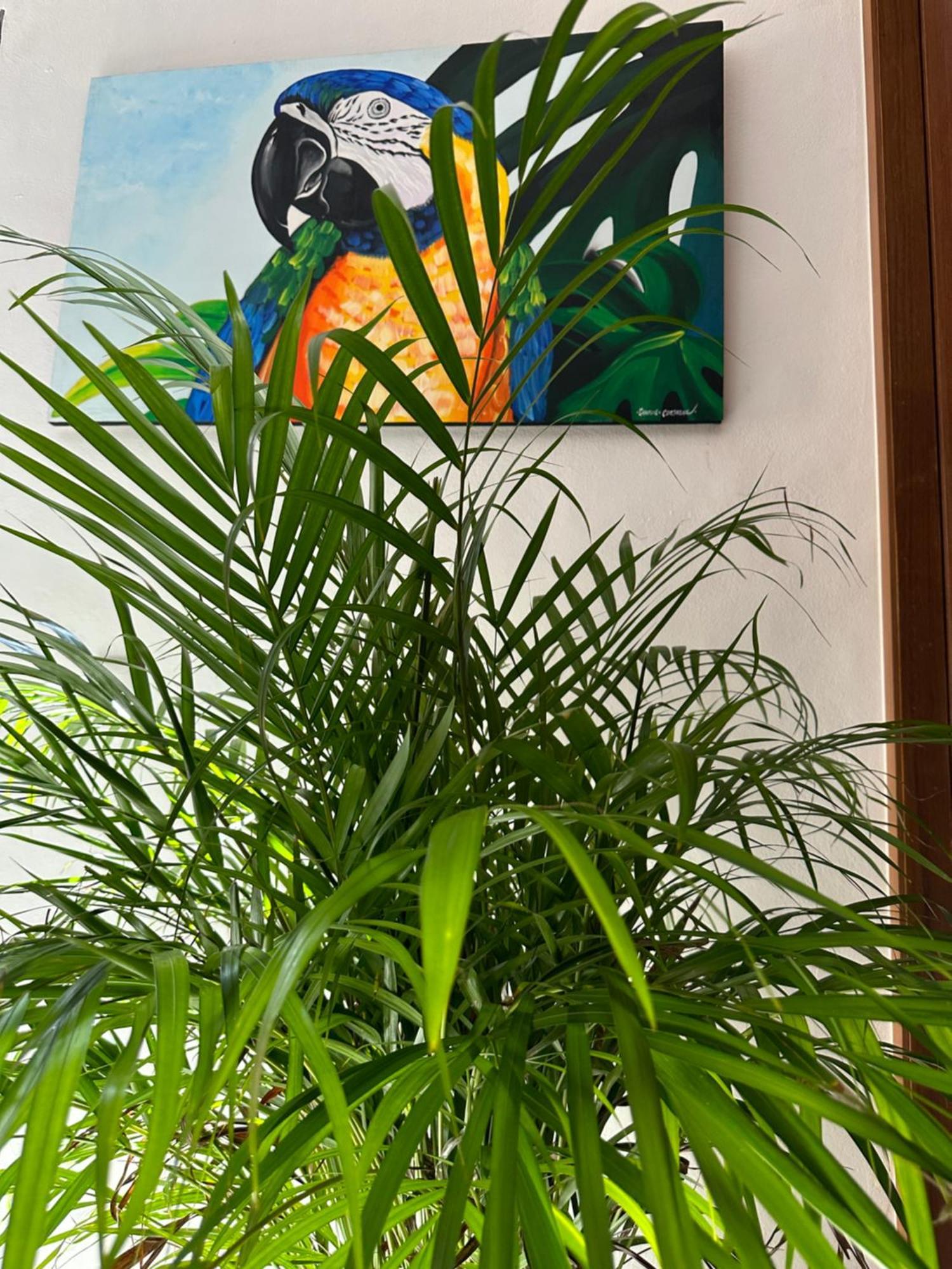 Oasis Urban Retreat Cancún Exterior foto